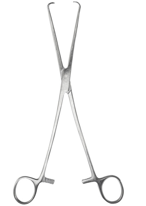Kornzange 26,5cm Einmalgebrauch, aus rostfreiem Edelstahl