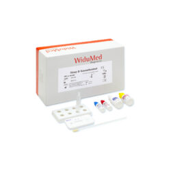 Strep-B Kassettentest