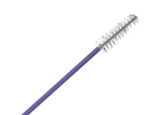 Cytobrush plus standard