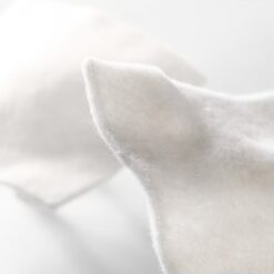 Biatain Alginatkompresse